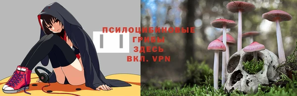 Альфа ПВП Арсеньев