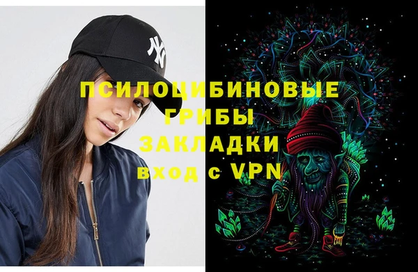 СК Аркадак