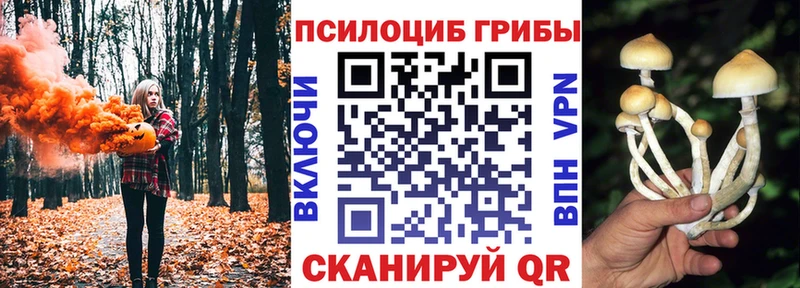 Галлюциногенные грибы Psilocybine cubensis  купить наркотики цена  Могоча 